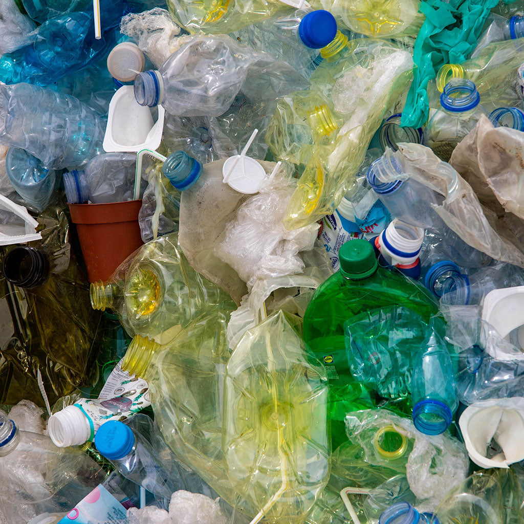 The Problem With Plastic in Nature and What You Can Do To Help