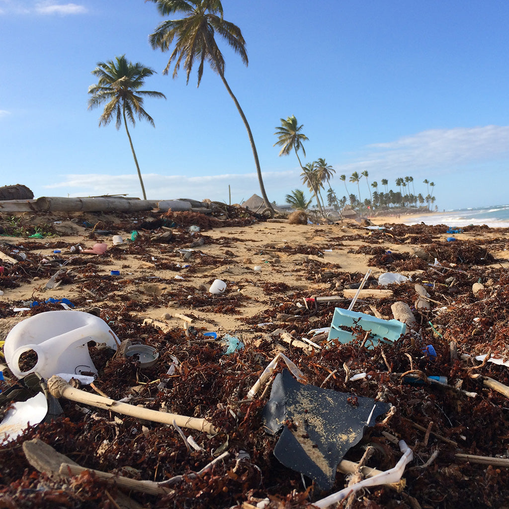 Future Vacuum To Clear Ocean Plastic?