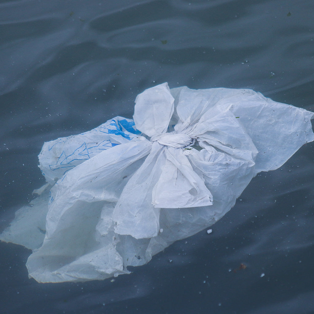What Happened To The Plastic We Release Into The Ocean?