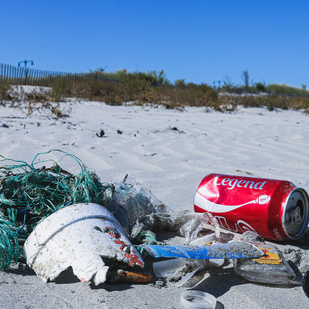 Where Does All The Marine Plastic Go?