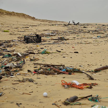 Study Finds Plastic Trash Contaminates Remote Hawaii Beaches